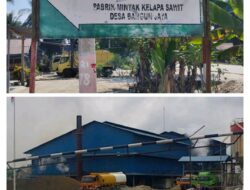 Yayasan MAPELHUT JAYA Ungkap Dugaan PKS PT MAN Beroperasi Tanpa Izin Lingkungan