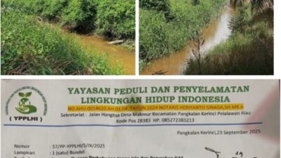 YPPLHI Laporkan Dugaan Perkebunan Ilegal dan Perusakan DAS di Kecamatan Pangkalan Kerinci