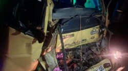 Dua Luka Parah dalam Kecelakaan Konvoi Truk Bermuatan Kayu Olahan di Jalan Teluk Meranti–Pekanbaru