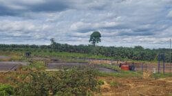 Pimpinan DPRD Riau Sidak ke PT RSM di Rokan Hulu, Temukan Sejumlah Pelanggaran Perizinan