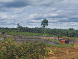 Pimpinan DPRD Riau Sidak ke PT RSM di Rokan Hulu, Temukan Sejumlah Pelanggaran Perizinan